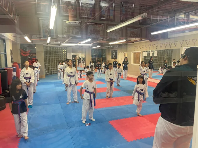 Markham Taekwondo Academy